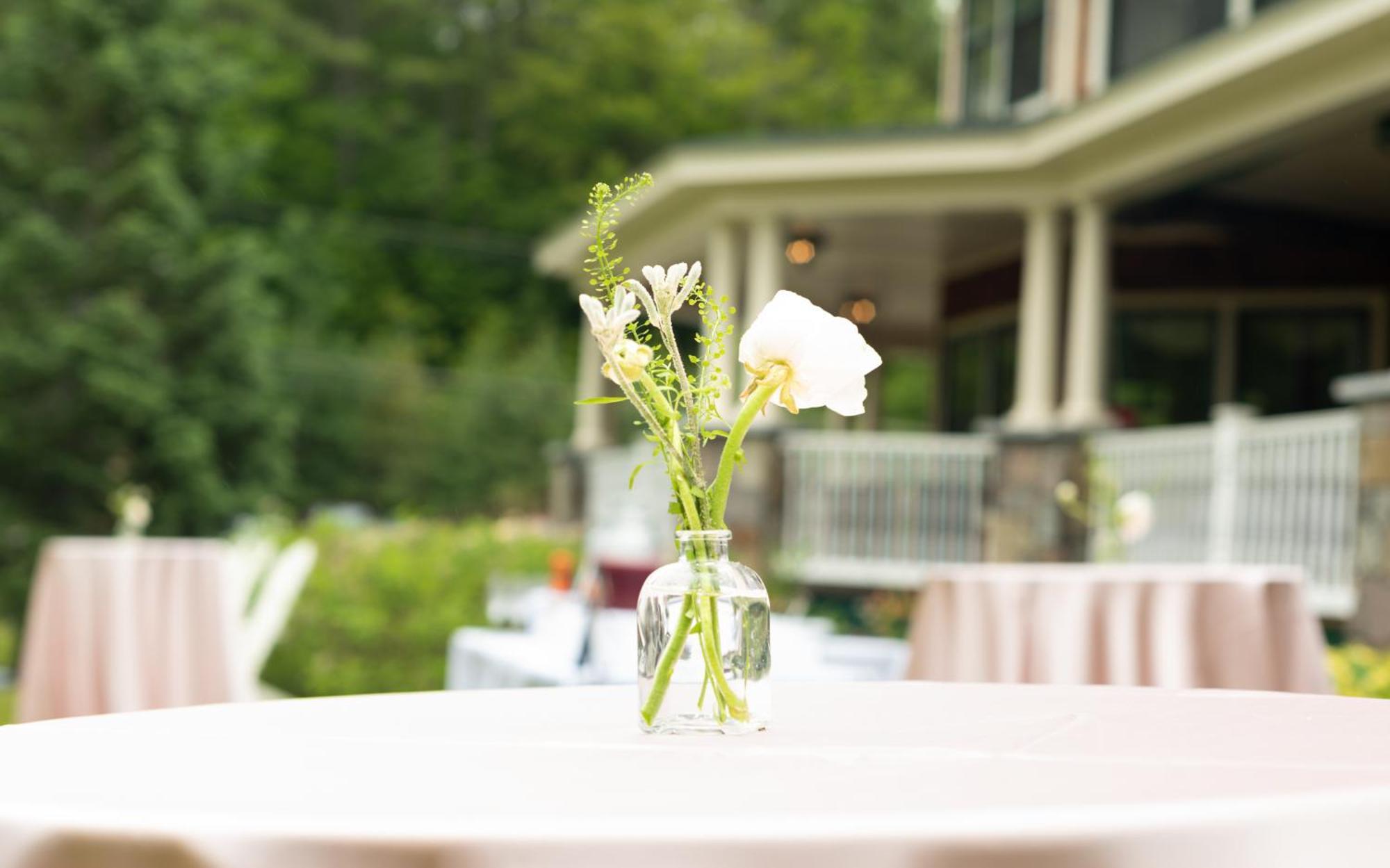 The Inn At Thorn Hill Jackson Exterior foto